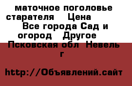 маточное поголовье старателя  › Цена ­ 3 700 - Все города Сад и огород » Другое   . Псковская обл.,Невель г.